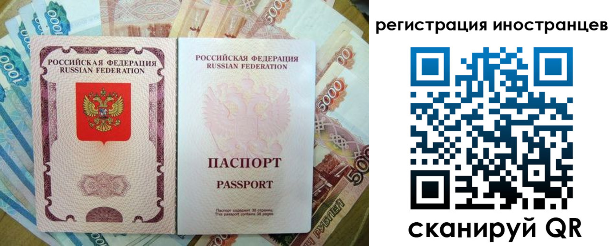 пропишу в квартире в Каменск-Шахтинском
